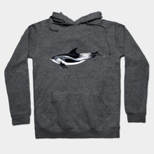 White-beaked dolphin Hoodie